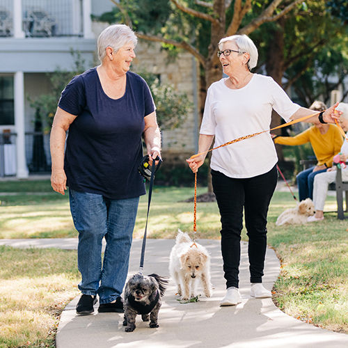 Two women walking dogs on a sunny path, with trees and a building in the background. Another person with a dog is seated nearby.