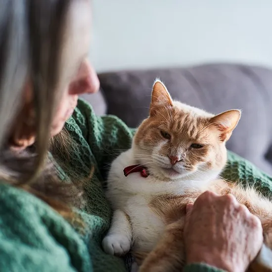 Senior resident holding tan and white cat
