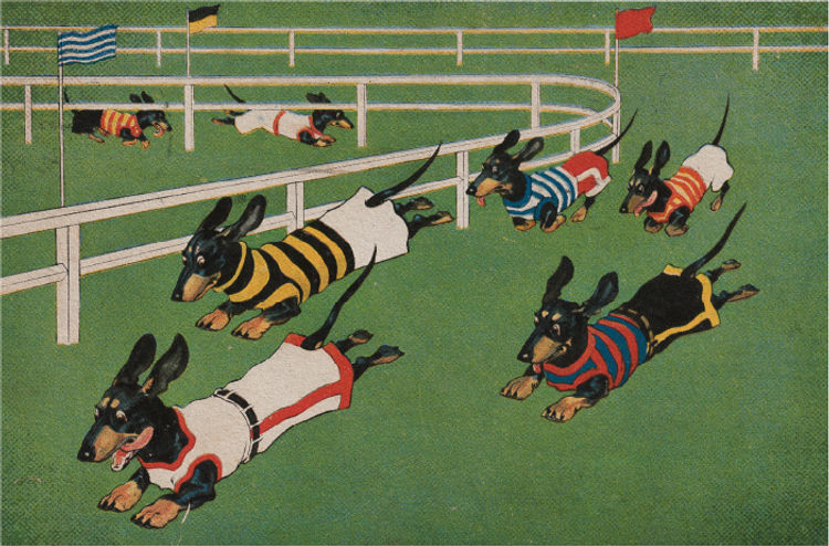 Illustration of dachshunds racing on a track, each wearing colorful jerseys. Flags wave in the background as the dogs sprint energetically.