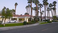 A modern house with a red-tiled roof, surrounded by tall palm trees, a green lawn, and a white car parked in the driveway at sunset., click to stop animation