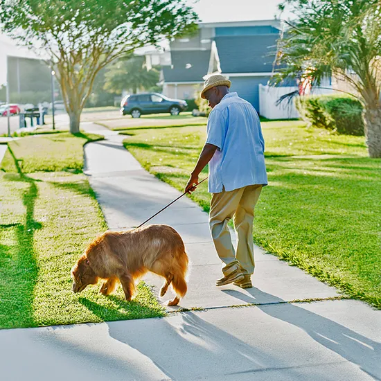 Senior resident walking golden retriever.