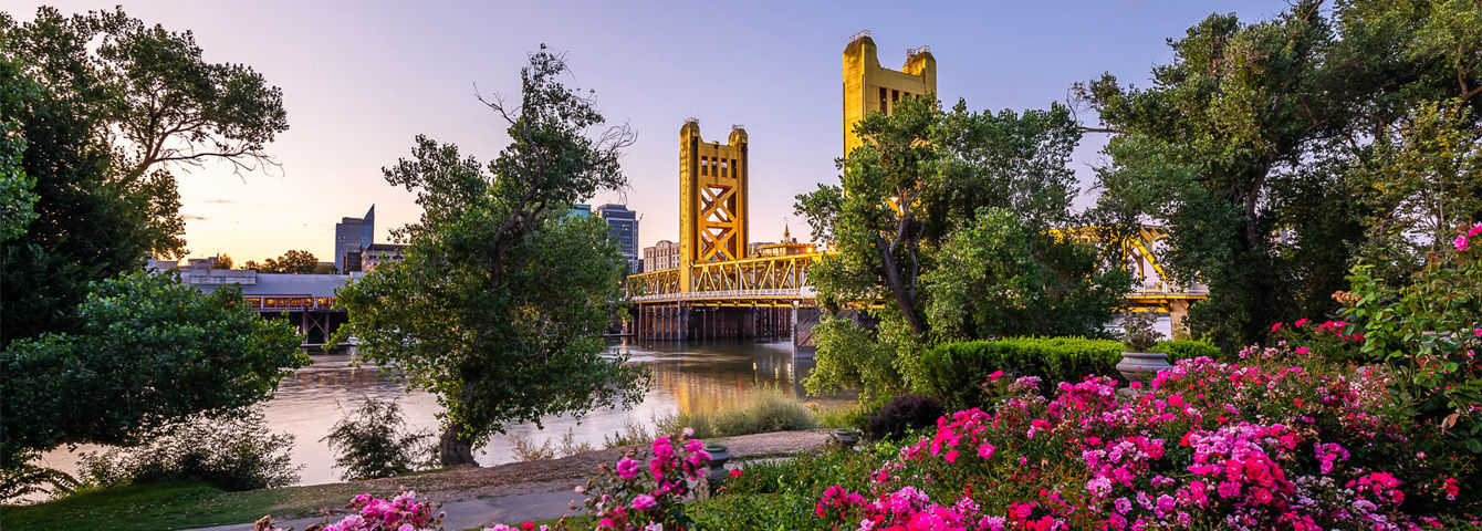 Bridge in Sacramento, CA