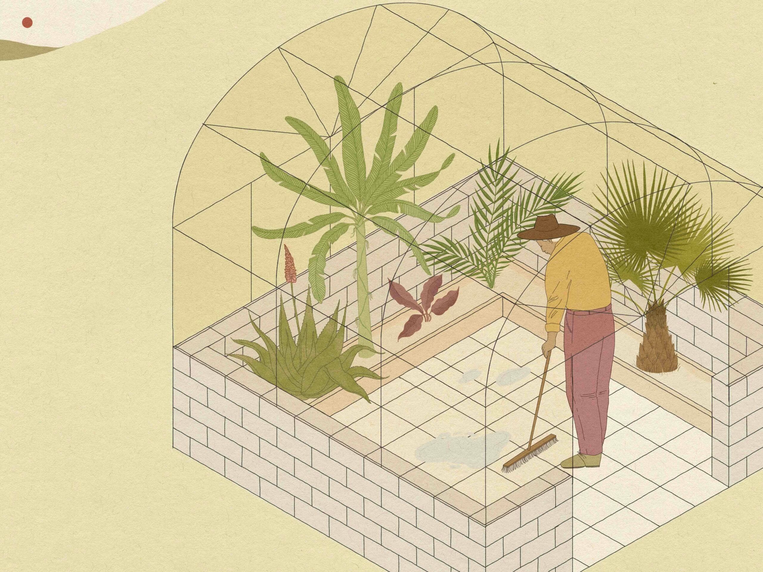 Illustration of man in greenhouse cleaning the floor with a broom.