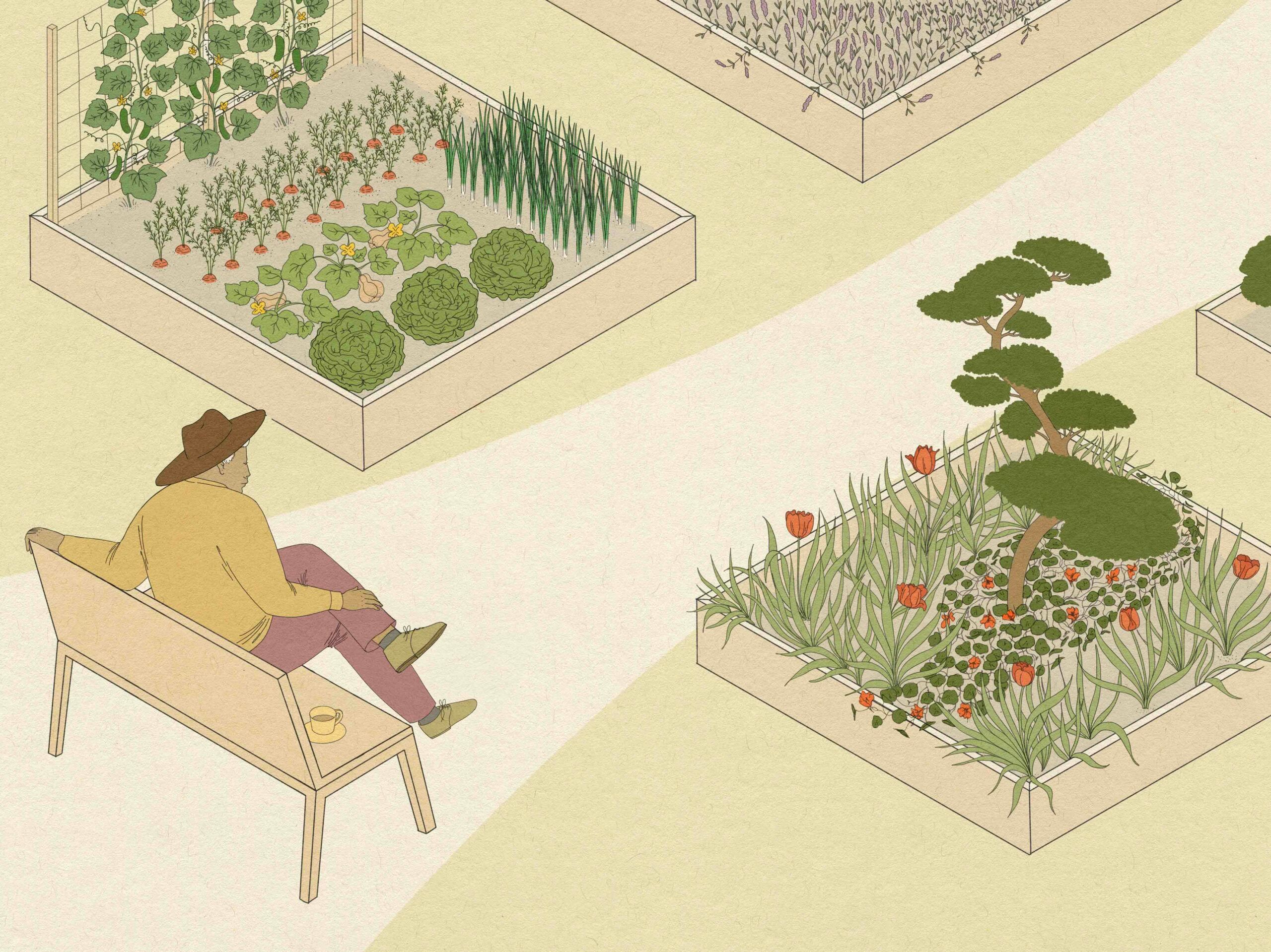 illustration of man in sunhat sitting on bench in garden