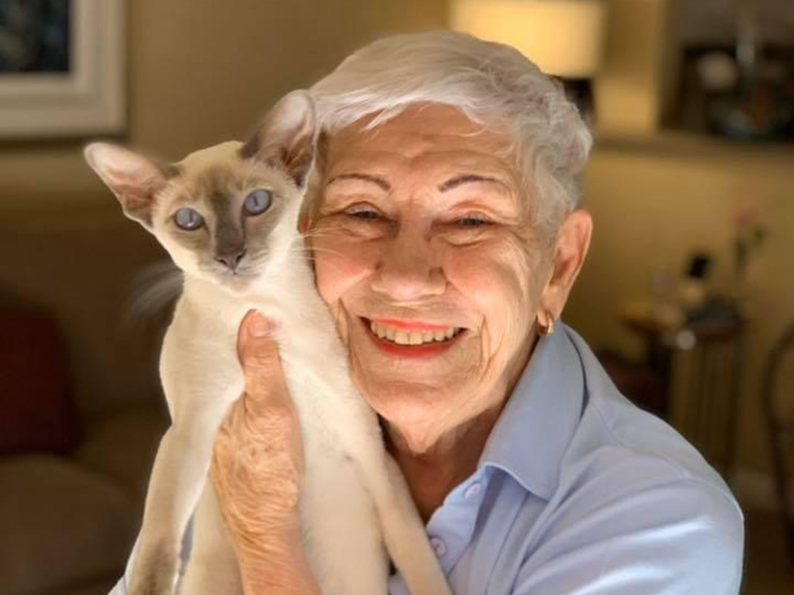 Close-up view of an older woman in a light blue collared shirt holding her Siamese cat with light blue eyes