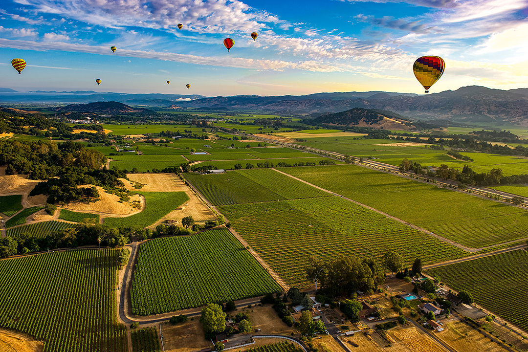 Expansive view of Napa Valley, California, with hot air balloons dotting the skies.