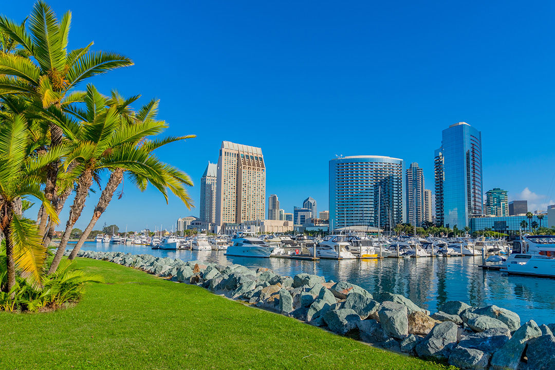 Shoreline view of San Diego, California, with palm trees on the shore and high-rise buildings in the distance.