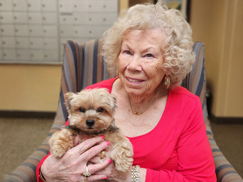 Senior woman in a red blouse holds her Yorkshire terrier puppy.