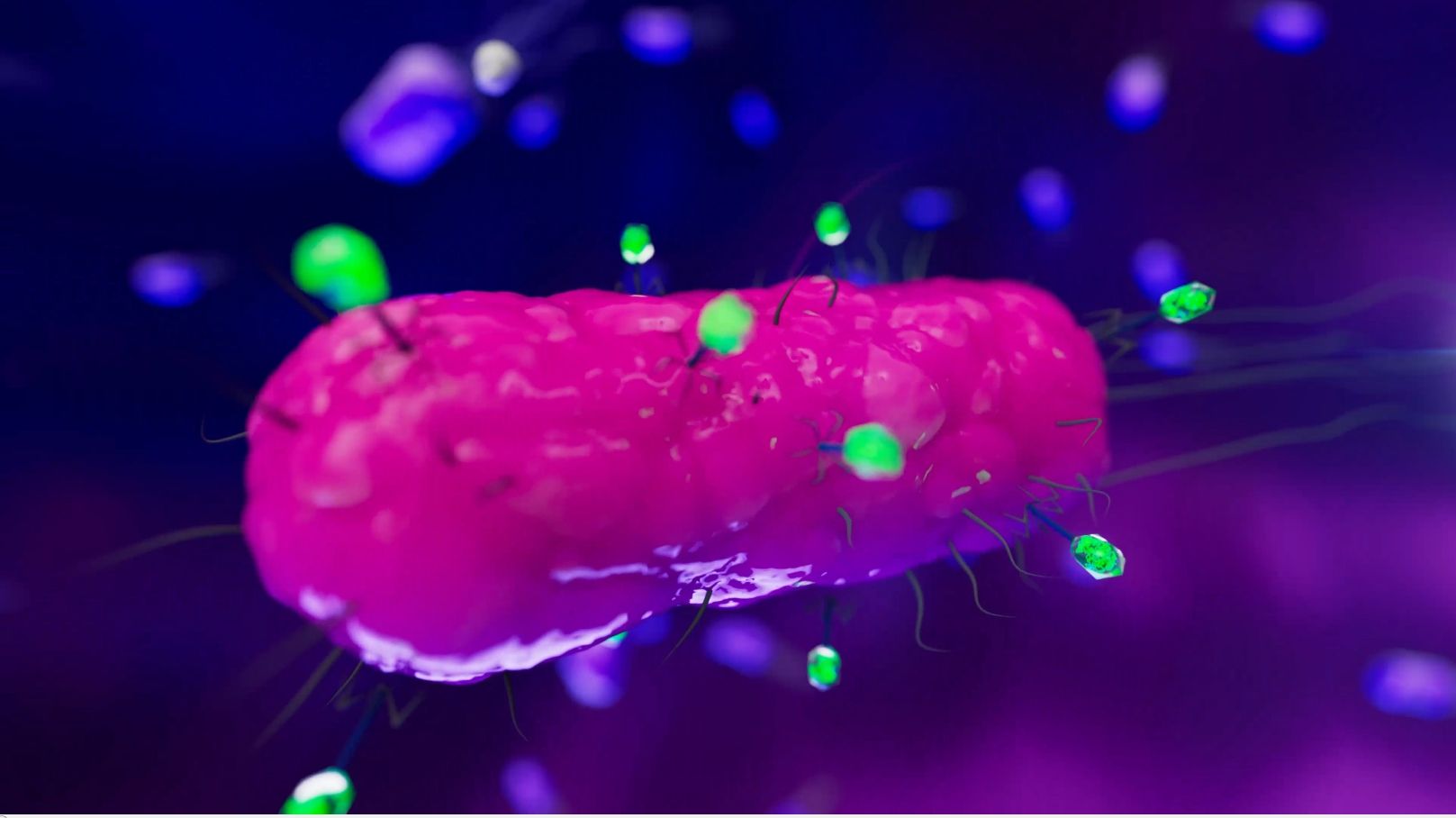 Cellular Interaction