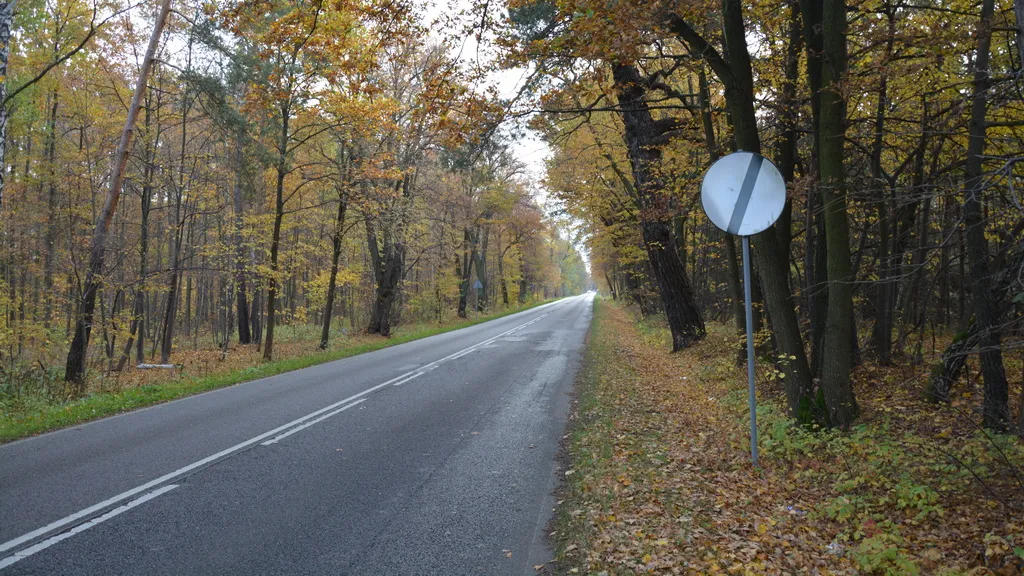 Czy przedstawiony znak odwołuje zakaz wyrażony znakiem B-35 „zakaz postoju”?