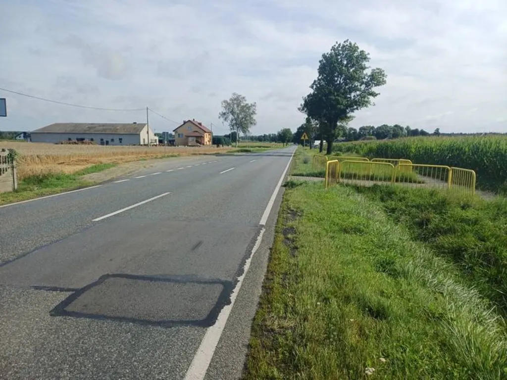Czy pieszy przechodzący przez jezdnię wykorzystując przejście sugerowane ma pierwszeństwo przed nadjeżdżającym pojazdem?