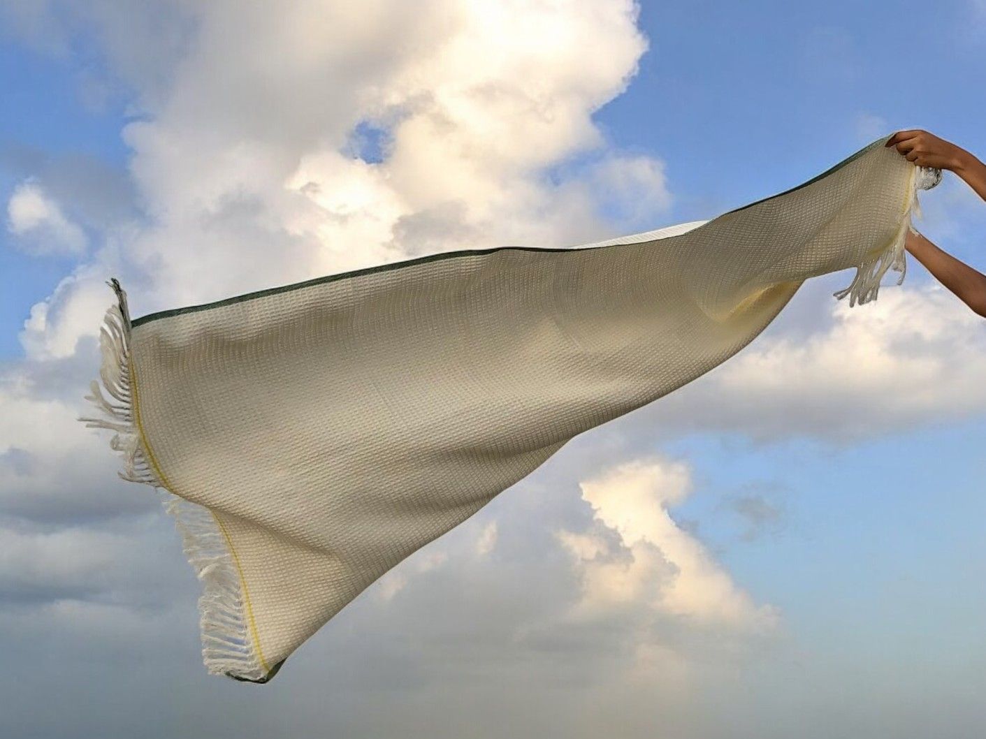 brand banner