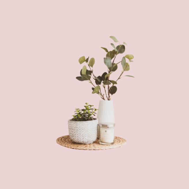 Vases
