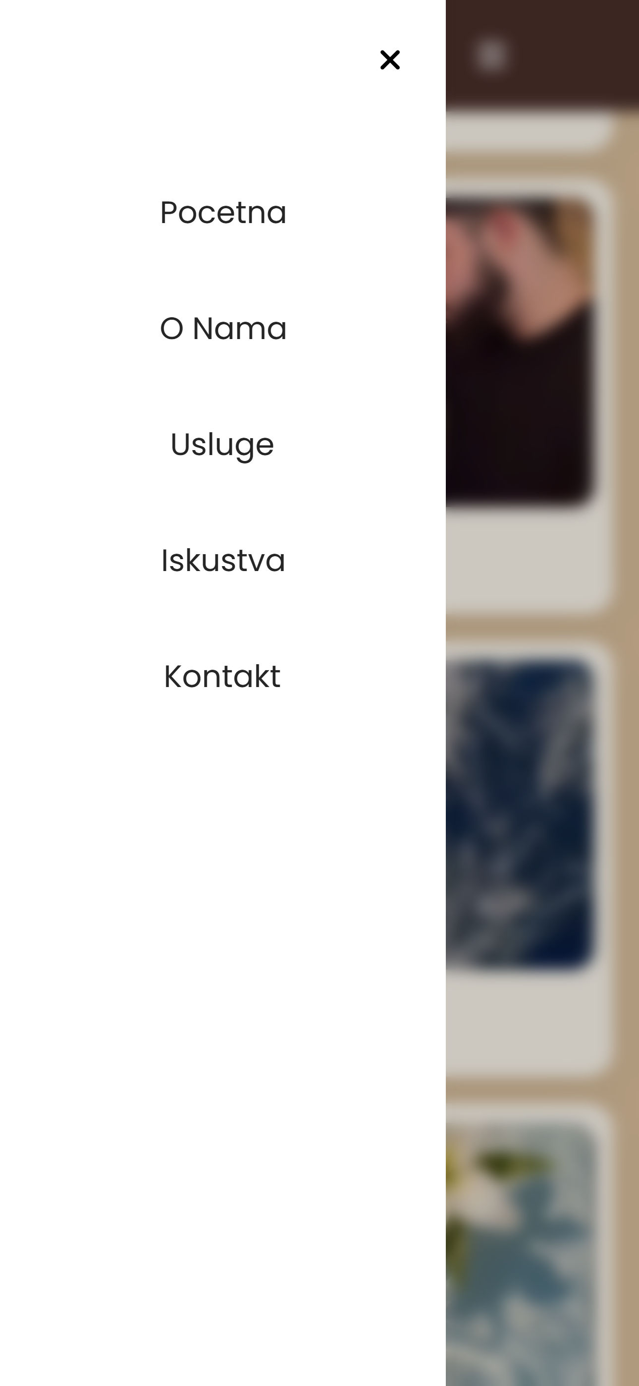 Mobile prikaz 1