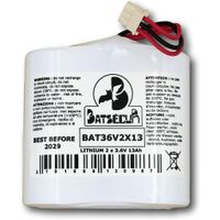 BAT36V2X13_001.jpg