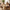 Arlo 43" Round Dining Table for 4 with Wooden Pedestal Base