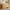 Galileo 63" Sideboard Buffet Cabinet with 4 Doors, Large Credenza Sideboard, Natural Oak