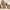 [Pre-Sale] Soren 71" Light  Walnut Executive Standing Desk & Bookcase Set