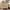 [Pre-Sale] 25.5'' Soft-Edge Natural Wood 2-Drawer Nightstand,Set of 2