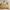 Galileo 63" Sideboard Buffet Cabinet with 4 Doors, Large Credenza Sideboard, Natural Oak