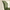 2-Pack Green PVC Dining Chairs with Fine Wave Stitch Detailing