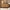 55 Inch 6 Drawer Curved Edge Dresser, Thick Rounded Side Panels