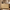 52.8 Natural Wood Rounded 6 Drawer Dresser 03 Main