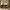 70 Inch Curved Edge Sideboard Buffet Cabinet with 4 Storage Doors