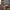 55" Computer Desk 2-in-1 Convertible Gaming & Dining Table Black Walnut
