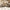 Caly 53.2" White Alder Finish Fluted 6 Drawer Dresser with Open Shelf