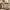 Caly 53.2" White Alder Finish Fluted 6 Drawer Dresser with Open Shelf