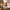 2Pack Coffee Double Layer Mohair Upholstered Dining Chairs