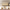 [Pre-Sale] 52.8" Natural Wood Rounded 6 Drawer Dresser