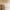 Tareya Queen Upholstered Bed Frame with 4 Storage Drawers, Beige