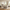 Travertine 54" 6-Drawer Chest of Drawers, Gray