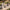 65" Outdoor Eggshell Woven Rope Loveseat Sofa with Plush Cushions