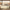 Freya Queen Upholstered Storage Bed Frame with 4 Drawers, Sandstone Beige