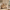 55.9 Inch 6 Drawer Dresser for Bedroom Chest of Drawers with Handleless Smooth Glide Drawers Natural Oak