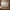 Queen Curved High-Panel Bed with Floating Nightstands, Wood Grain PU Leather