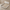 Queen Upholstered Bed Frame with PU Leather Headboard – Beige