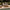 63" Outdoor Natural Solid Teak Lattice Rectangular Coffee Center Table