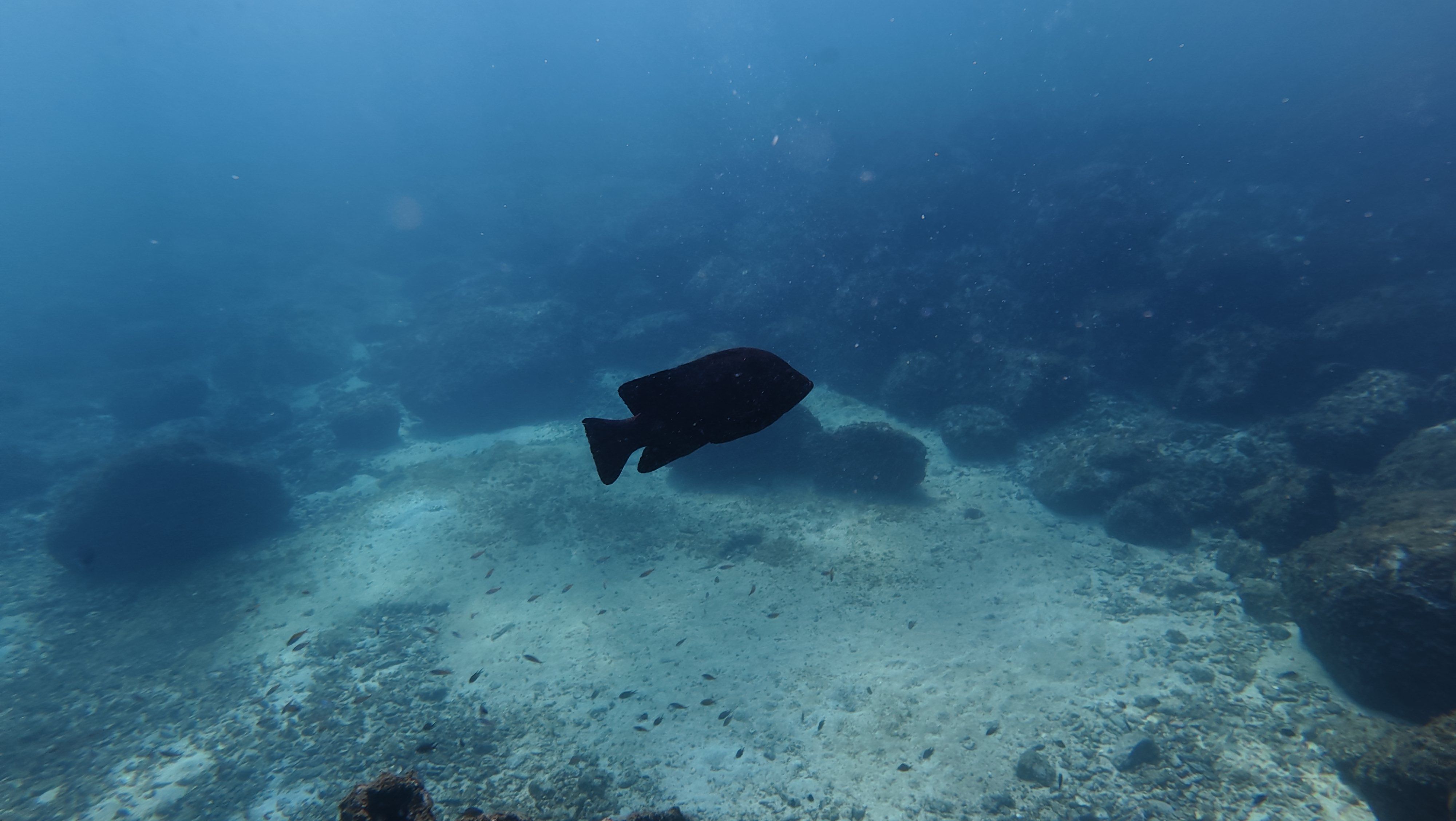 DJI 20260123104525 0086 D.JPG