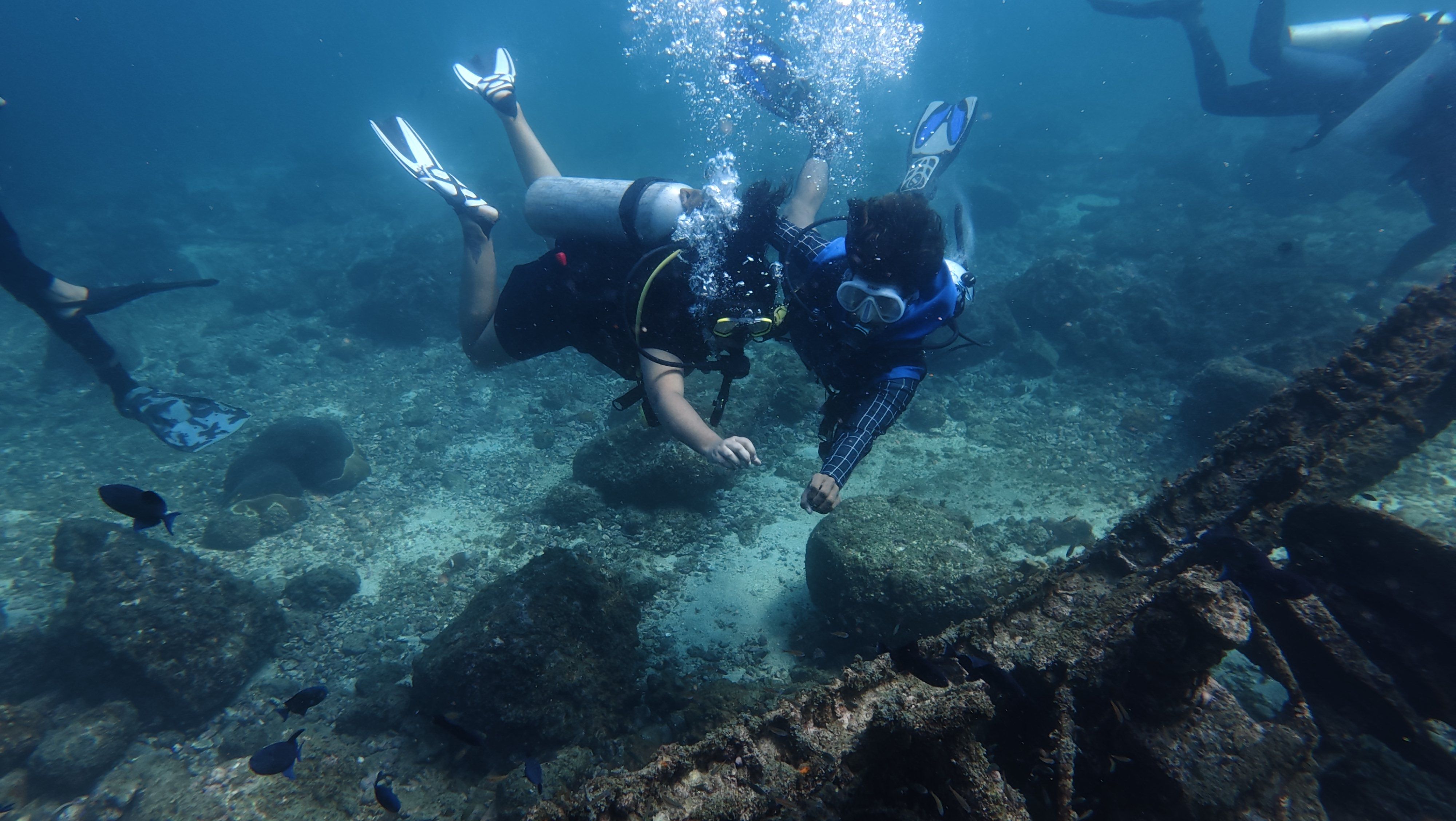 DJI 20260123104407 0082 D.JPG