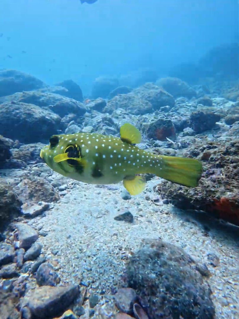 DJI 20260105115246 0162 D.JPG