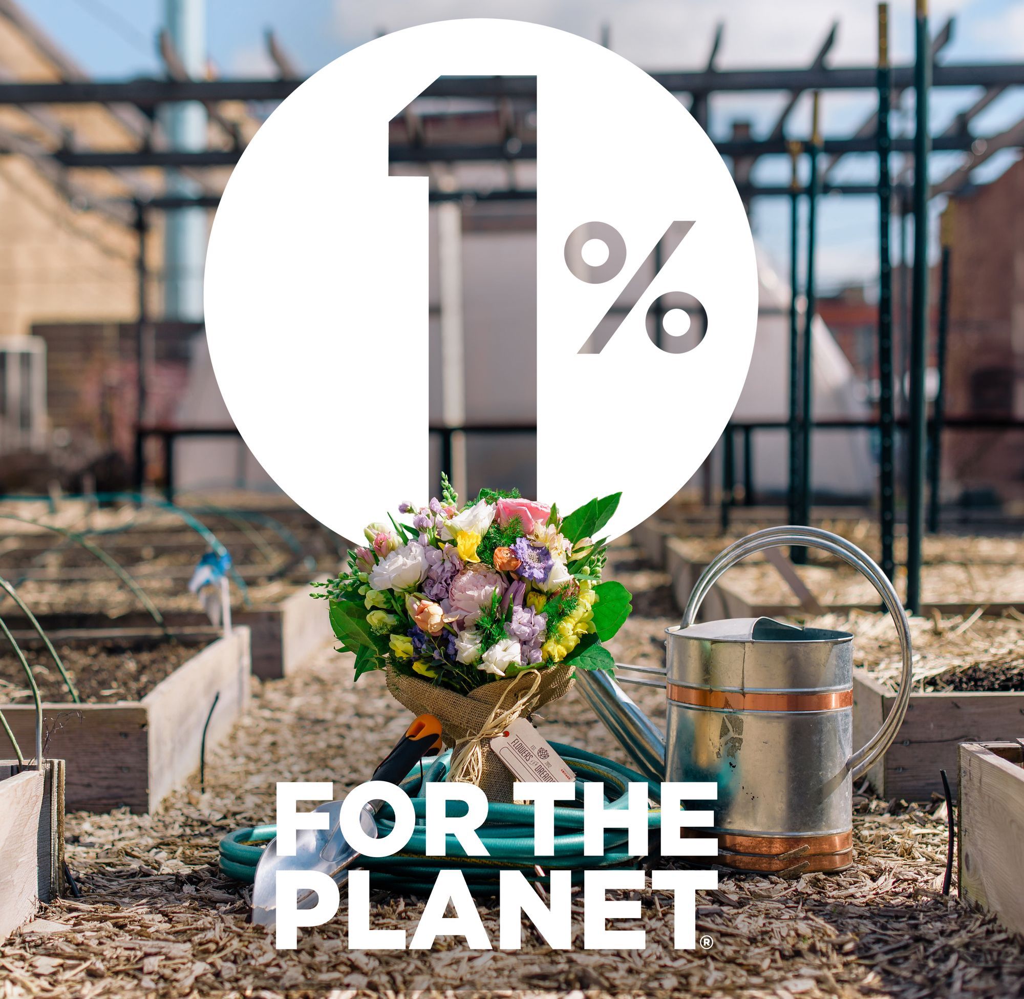 Putting Earth First