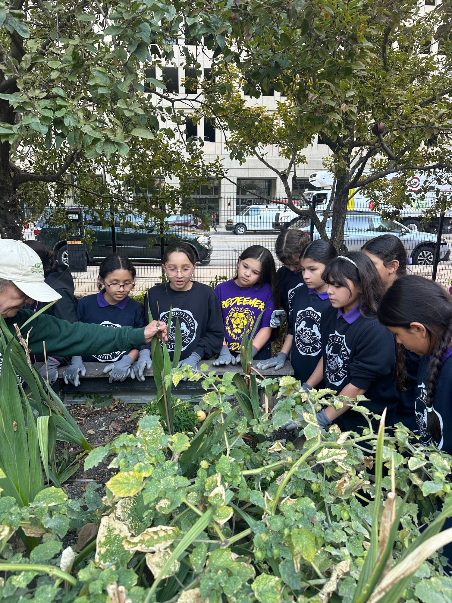 Local Food Systems