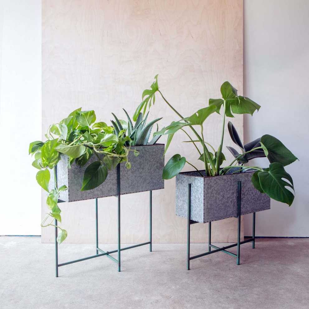 Featured Photo of Rectangular Plant Stands