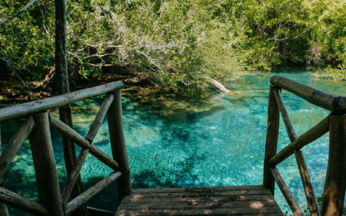 Reserva Ecológica Ojos Indígenas en Punta Cana