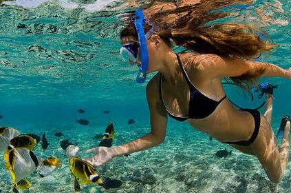 Buceo y snorkel en Isla Catalina