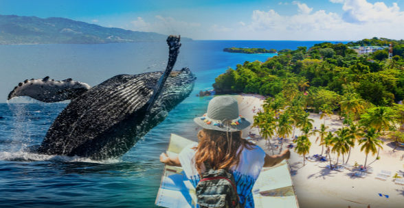 Donde Ver Ballenas Jorobadas en Samana